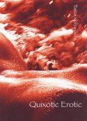 Cover image of book Quixotic Erotic by Tamai Kobayashi 
