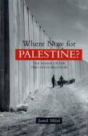 Cover image of book Where Now for Palestine? The Demise of the Two-State Solution by Jamil Hilal