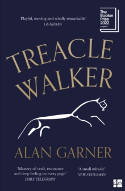 Cover image of book Treacle Walker by Alan Garner