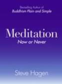 Meditation: Now or Never by Steve Hagen