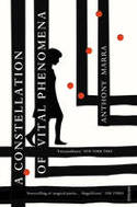 Cover image of book A Constellation of Vital Phenomena by Anthony Marra 