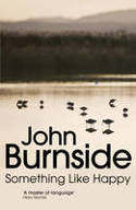 Cover image of book Something Like Happy by John Burnside