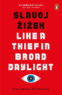 Cover image of book Like A Thief In Broad Daylight: Power in the Era of Post-Humanity by Slavoj Žižek 