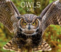 Owls 2019 Calendar by Various photographers