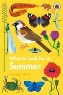 What to Look For in Summer by Elizabeth Jenner, illustrated by Natasha Durley
