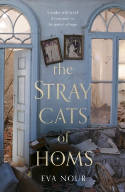 Cover image of book The Stray Cats of Homs by Eva Nour 