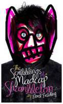 The Scribblings of a Madcap Shambleton by Noel Fielding