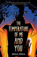 Cover image of book The Temperature Of Me And You by Brian Zepka 