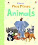 Usborne First Picture Animals by Felicity Brooks, illustrated by Jo Litchfield