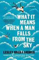 Cover image of book What It Means When A Man Falls From The Sky by Lesley Nneka Arimah