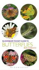 Cover image of book Bloomsbury Pocket Guide to Butterflies by Bob Gibbons