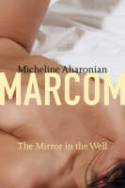 Cover image of book The Mirror in the Well by Micheline Aharonian Marcom