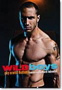 Cover image of book Wild Boys: Gay Erotic Fiction by Richard Labont (Editor)