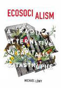 Cover image of book Ecosocialism: A Radical Alternative to Capitalist Catastrophe by Michael L�wy