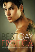 Cover image of book Best Gay Erotica 2014 by Larry Duplechan (Editor) 