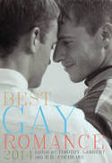 Cover image of book Best Gay Romance 2014 by Timothy J. Lambert and R. D. Cochrane (Editors) 