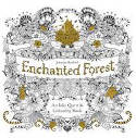 Cover image of book Enchanted Forest: An Inky Quest and Colouring Book by Johanna Basford