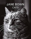 Cover image of book Cats by Jane Bown