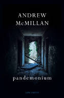 Cover image of book pandemonium by Andrew McMillan