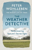 Cover image of book The Weather Detective: Rediscovering Nature's Secret Signs by Peter Wohlleben 