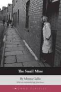 Cover image of book The Small Mine by Menna Gallie