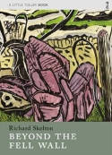 Cover image of book Beyond the Fell Wall by Richard Skelton