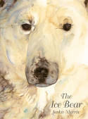 Cover image of book The Ice Bear by Jackie Morris 