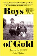 Cover image of book Boys of Gold by George Brinley Evans