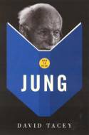 Cover image of book How to Read Jung by David Tacey 