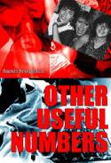 Cover image of book Other Useful Numbers by Sarah Broughton