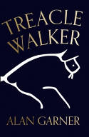 Cover image of book Treacle Walker by Alan Garner 