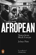 Cover image of book Afropean: Notes from Black Europe by Johny Pitts 