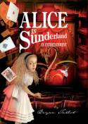 Cover image of book Alice in Sunderland: An Entertainment by Bryan Talbot