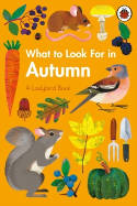 Cover image of book What to Look For in Autumn by Elizabeth Jenner, illustrated by Natasha Durley 