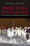 Cover image of book More Than Eyes Can See: A Nine Month Journey into the Aids Pandemic by Rhidian Brook