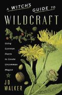 Cover image of book A Witch's Guide to Wildcraft: Using Common Plants to Create Uncommon Magick by J.D. Walker 