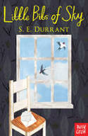 Cover image of book Little Bits of Sky by S. E. Durrant, illustrated by Katie Harnett 