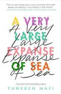 Cover image of book A Very Large Expanse of Sea by Tahereh Mafi