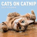 Cats on Catnip Mini 2022 Wall Calendar by -