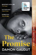Cover image of book The Promise by Damon Galgut