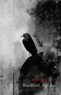 Cover image of book Blackbird, Bye Bye by Moniza Alvi