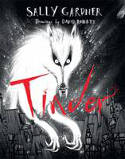 Cover image of book Tinder by Sally Gardner, illustrated by David Roberts