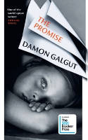 Cover image of book The Promise by Damon Galgut 