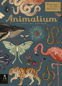 Cover image of book Animalium by Jenny Broom