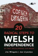 Cover image of book 20 Radical Steps to Welsh Independence by Jim Wingate and Jen Llywelyn