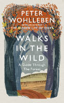 Cover image of book Walks in the Wild: A Guide Through the Forest by Peter Wohlleben 