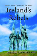 Cover image of book A Short History of Ireland