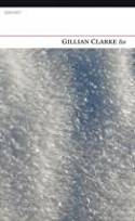Cover image of book Ice by Gillian Clarke 