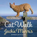 Cover image of book Cat Walk by Jackie Morris