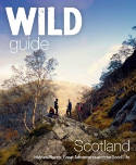 Cover image of book Wild Guide Scotland: Hidden Places, Great Adventures & the Good Life by Kimberley Grant , David Cooper and Richard Gaston 